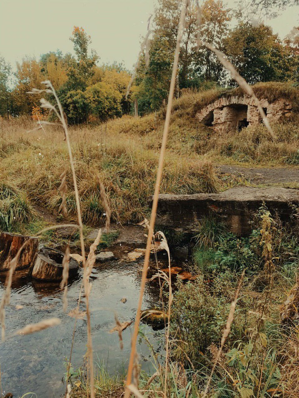 Родник находится прямо среди руин. Фото: Полина Исакова.