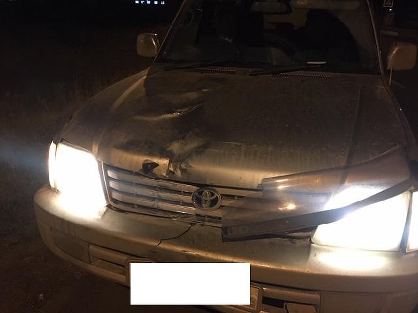Автоледи не пропустила пешехода и сбила его.
