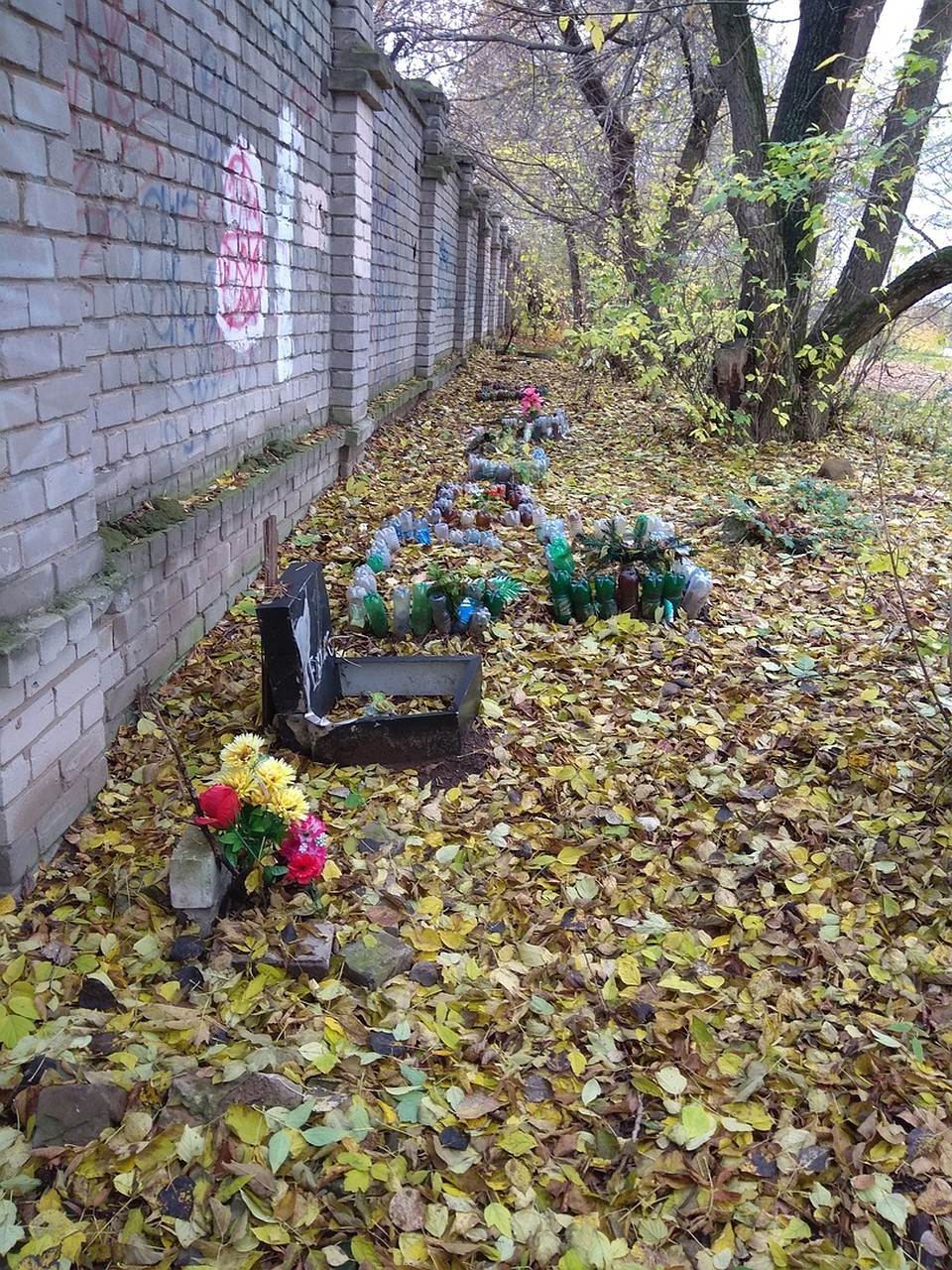 Кладбище домашних животных в Пролетарском районе Твери. Фото: Любовь Абракадаброва.
