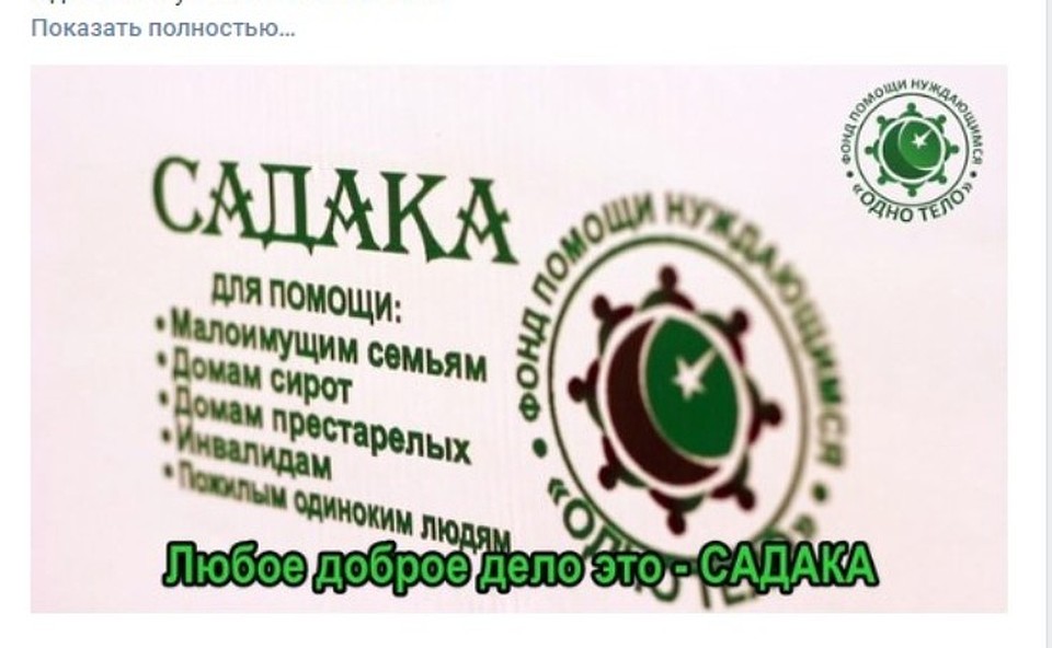 Так в фонде описывали цели сбора денег Фото: vk.com