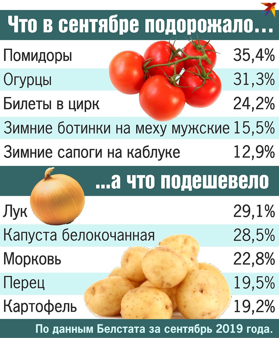 Сейчас самое время покупать сезонные овощи. Фото: Екатерина МАРТИНОВИЧ