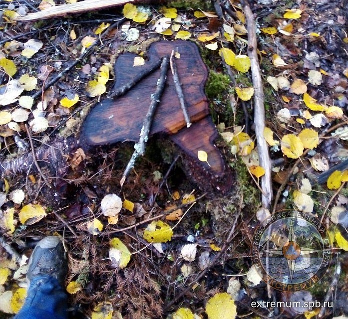 В лесу нашли стрелки из веток Фото: extremum.spb.ru