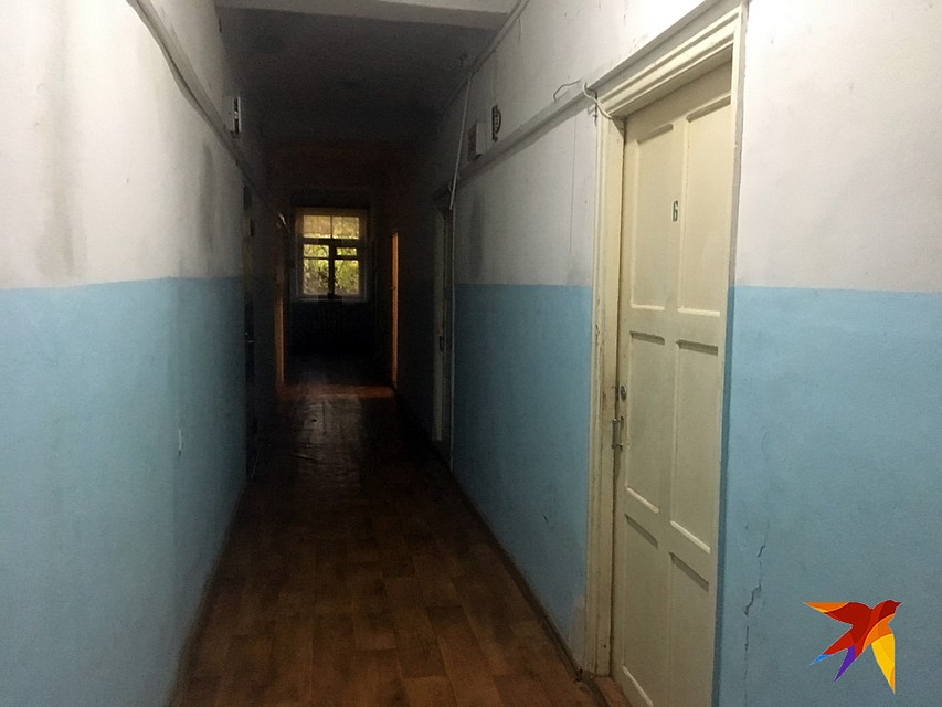 Учительница живёт в общежитии коридорного типа, с 13 кошками и тремя собаками. Фото: Ульяна СКОЙБЕДА