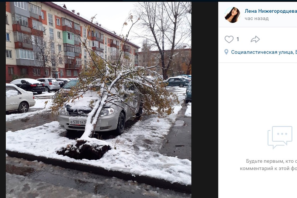 Со страниц "Инцидент Бийск"
