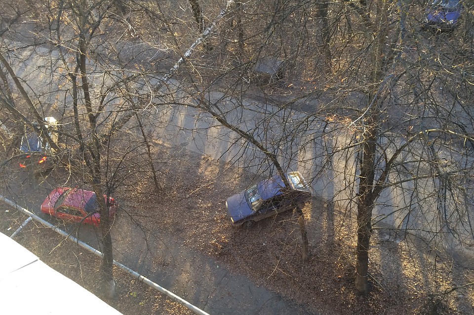 Дерево упало прямо на проезжую часть, и автомобилистам приходится объезжать его по тротуару. Фото: СОЦСЕТИ