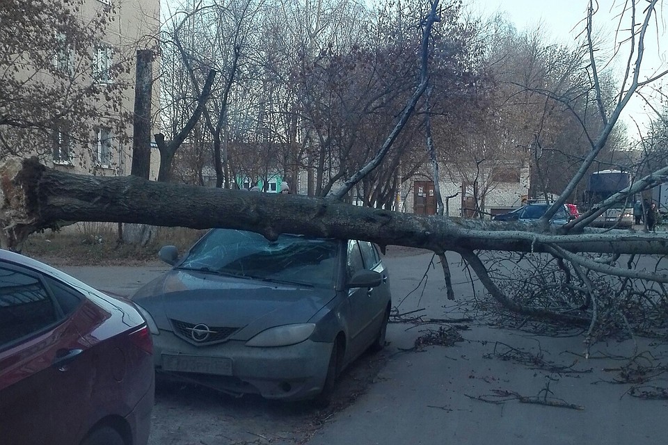 Нижегородцы обсуждают в сети последствия шквалистого ветра. Фото: СОЦСЕТИ