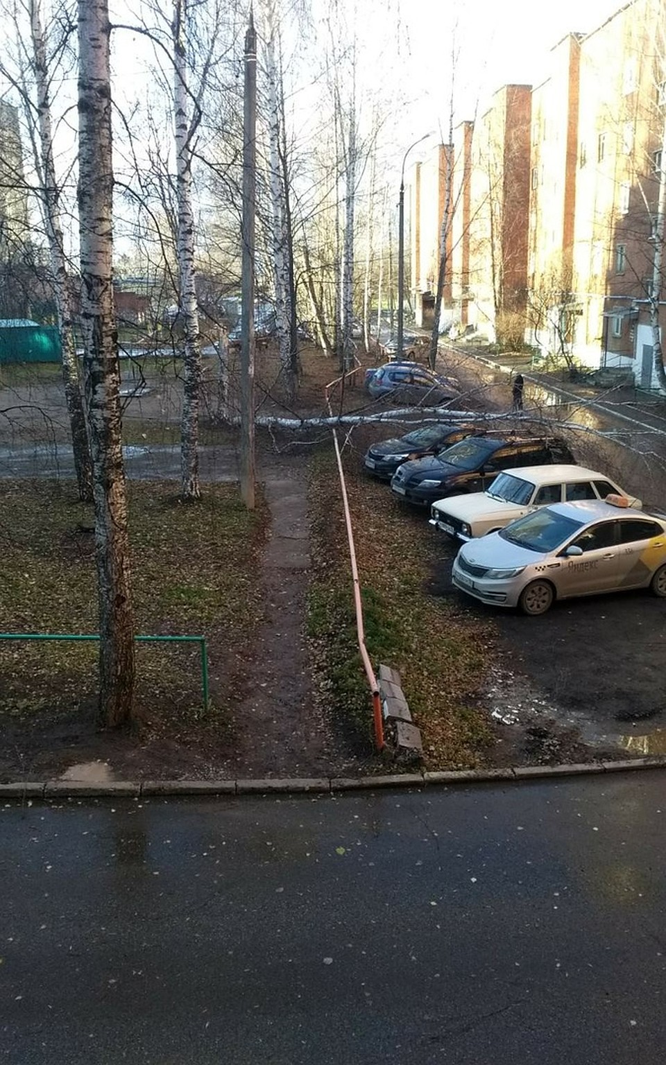 Фото: Дмитрий Чирков