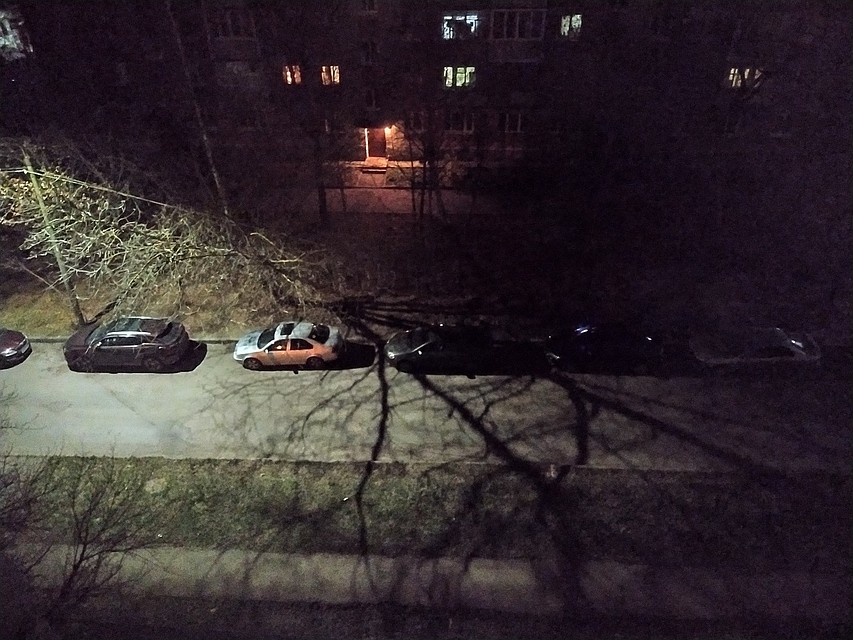 Во Владимире деревья висели на проводах. Фото: "Подслушано во Владимире" Вконтакте