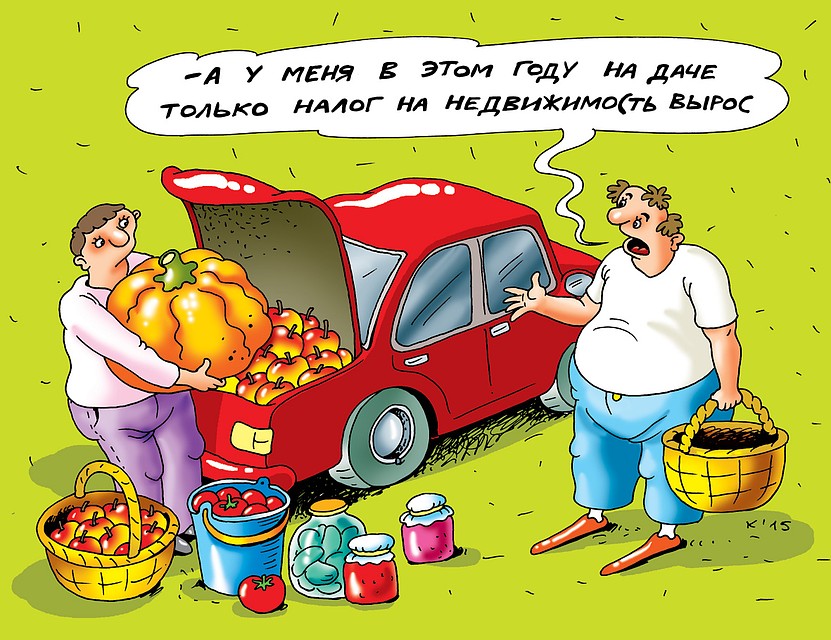Рис. Катерина МАРТИНОВИЧ