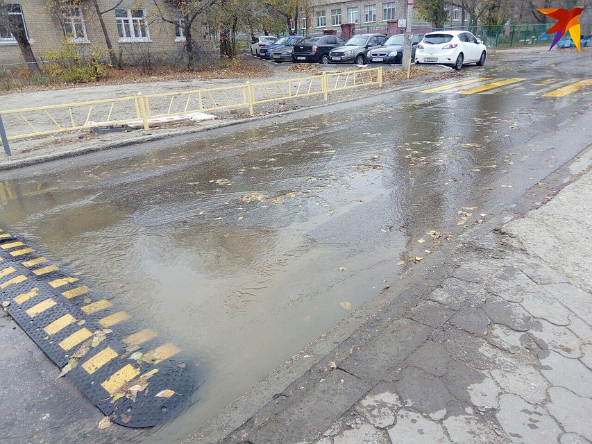 . Фото: Ольга Симонова