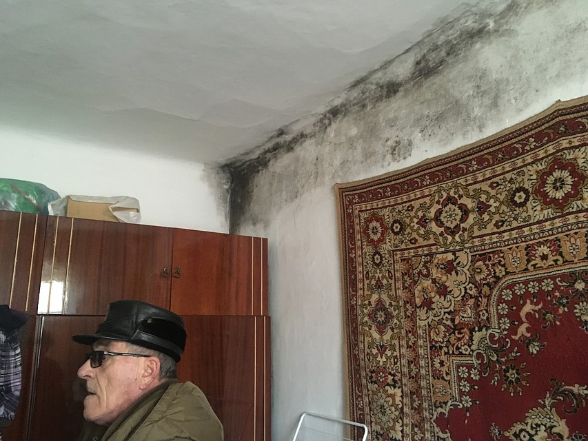 Заплесневелое жилище Фото: БОРЗОВ Денис