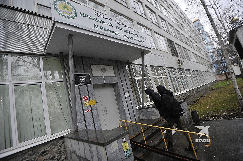 В УрГАУ говорят, что процесс получения аккредитации уже запущен Фото: Алексей БУЛАТОВ