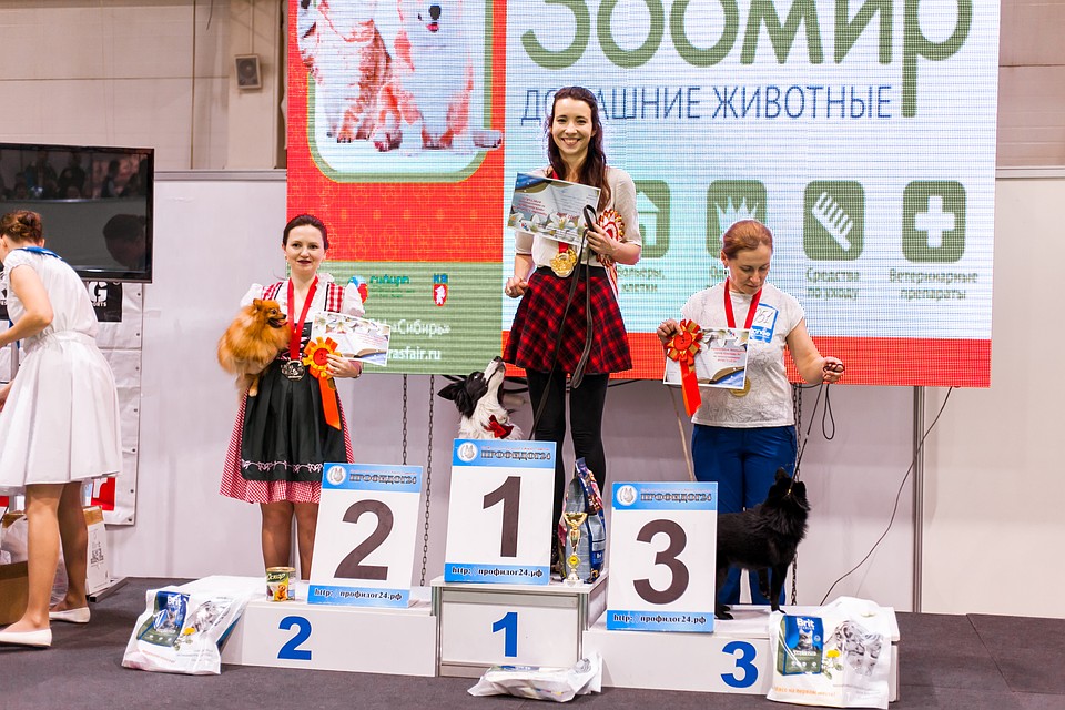 А как смотрит на тренера! Фото: "Поводог".