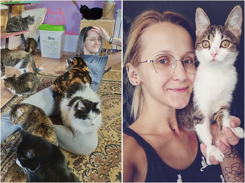 В детстве родители не разрешали Елизавете держать кошку. Фото: соцсети