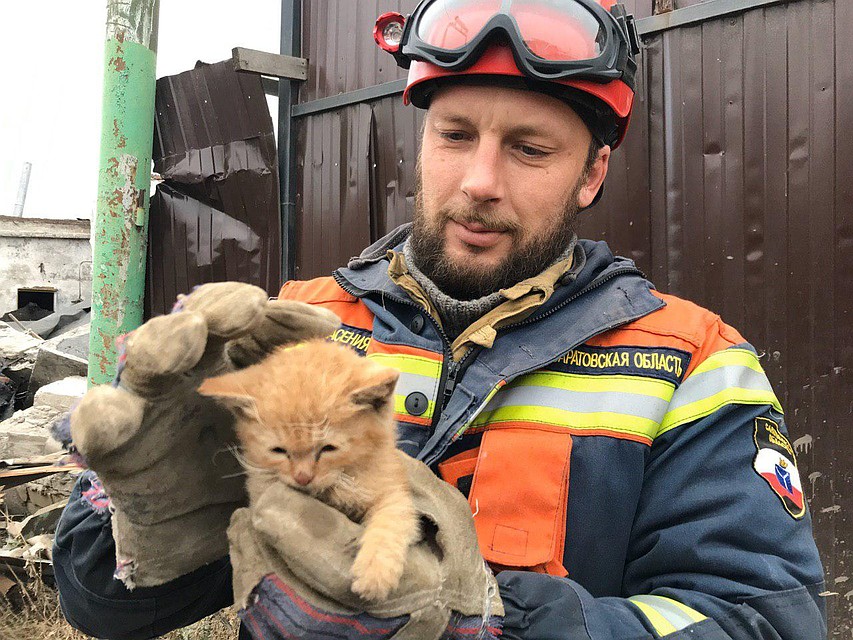 Удалось спасти котенка. Фото Саратовской областной службы спасения