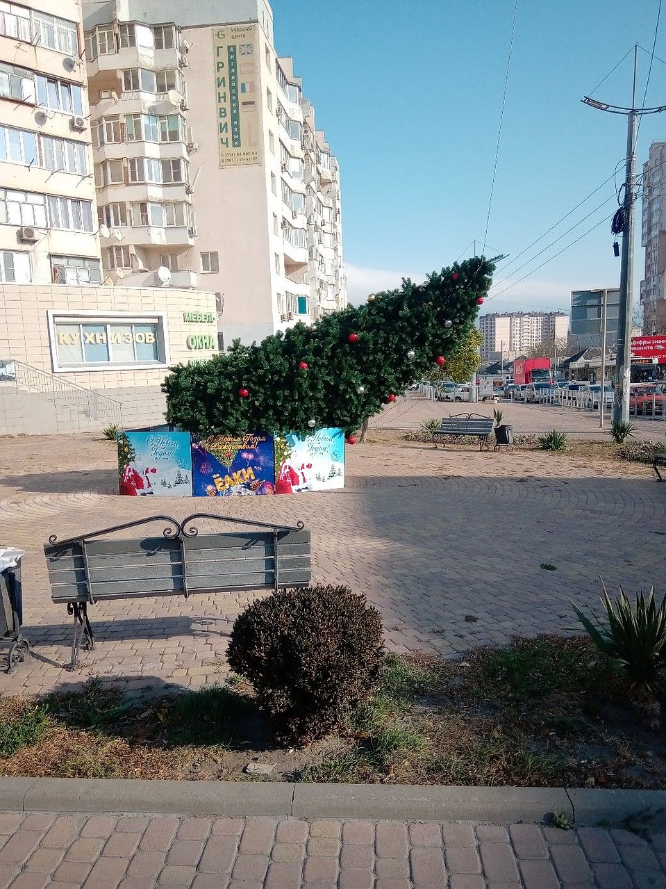В Новороссийске ветром снесло новогоднюю елку
