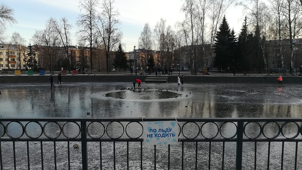 Фото: соцсети