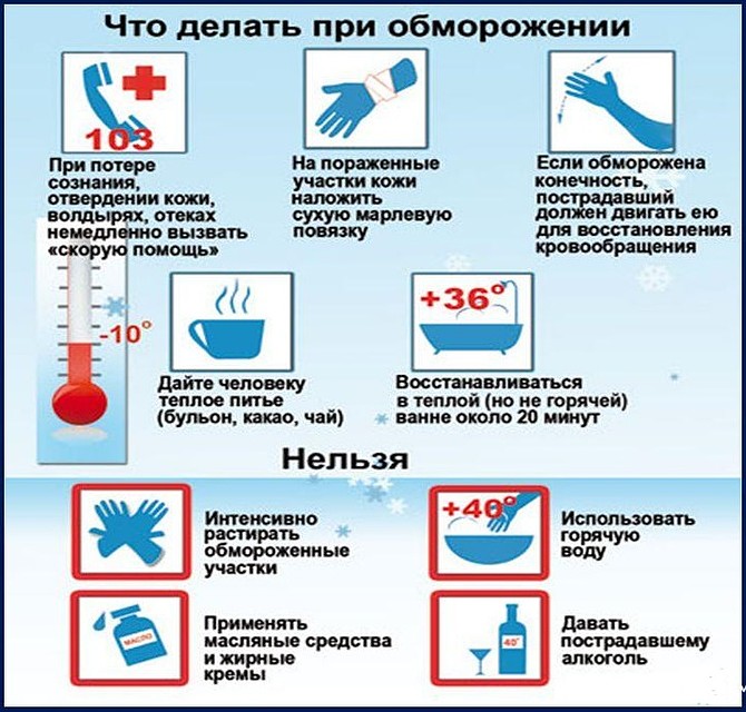 Что можно делать, а чего нельзя. Фото: министерство здравоохранения Красноярского края
