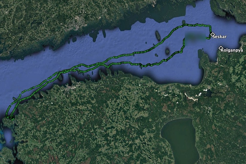Вот такой путь туда и обратно проделала нерпа / Фото: Nord Stream 2