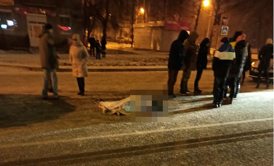 Со слов автомобилиста, она лежала на проезжей части.