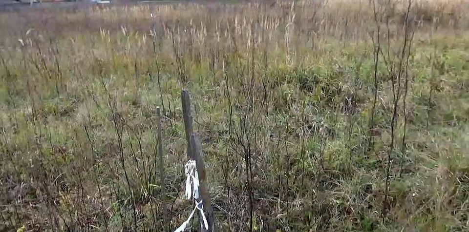 Сейчас «Яблоков сад» находится в запустении. Фото: ГТРК «Ока».