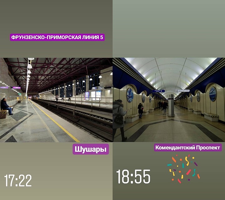 Свой эксперимент петербуржец завершил на фиолетовой ветке Фото: СОЦСЕТИ