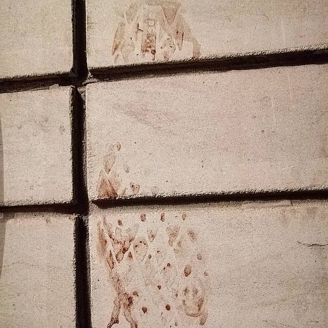 На месте избиения найдены кровавые следы. Фото группы bezdomnie_givotnie_engels в Instagram