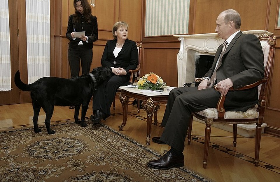Путин, Меркель и Кони в Ново-Огарево, 2007 год