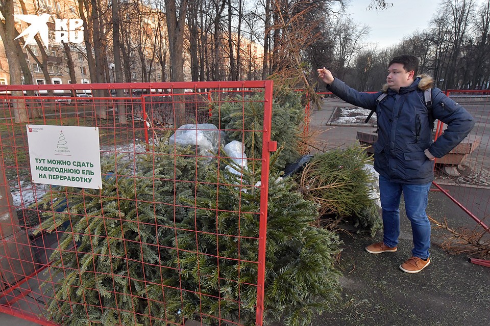 Конечный пункт "операции "Ё". Фото: Владимир ВЕЛЕНГУРИН