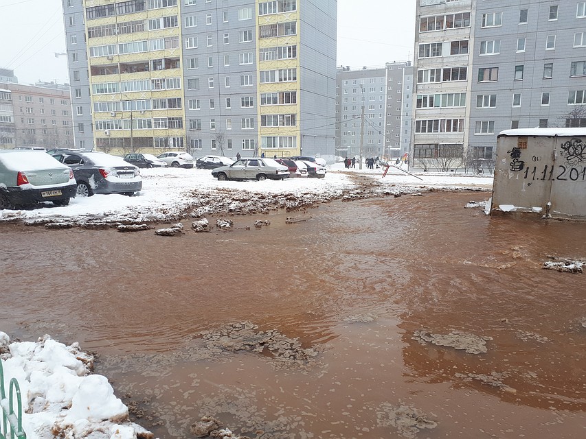 Фото: Анастасия Захаровва