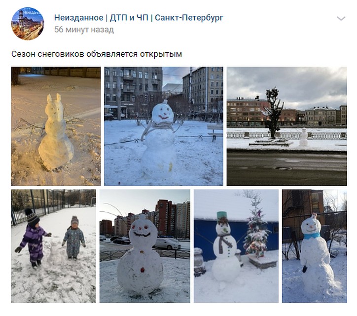 Горожане сразу побежали лепить снеговиков / Фото: vk.com/spb_today_unpublished