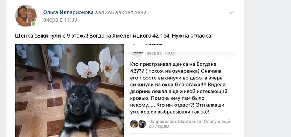 Скрин сообщения с личной страницы Ольги Илларионовой.