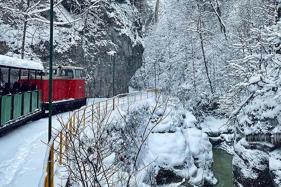 Фото: instagram.com/ognevannie