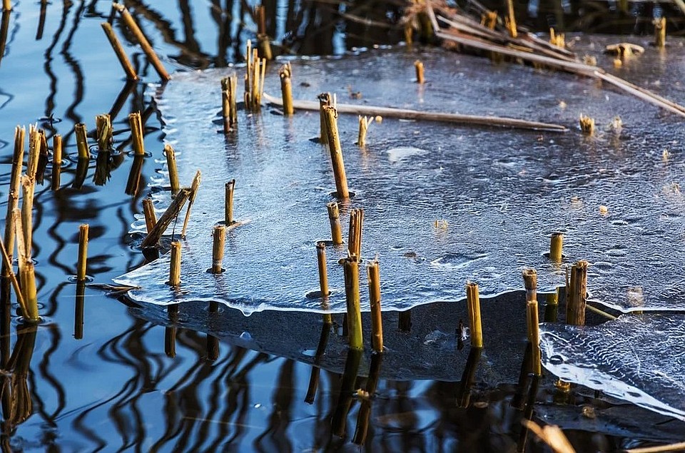 Фото: Pixabay.com