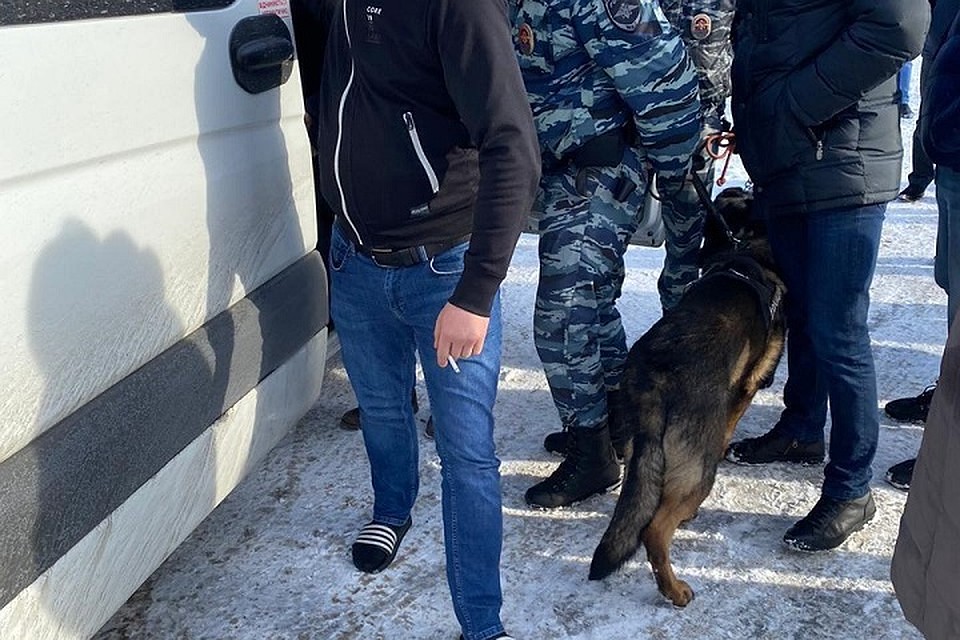 Четвероногие полицейские внимательно проверили багаж всех пассажиров / Фото: Администрация Ленобласти