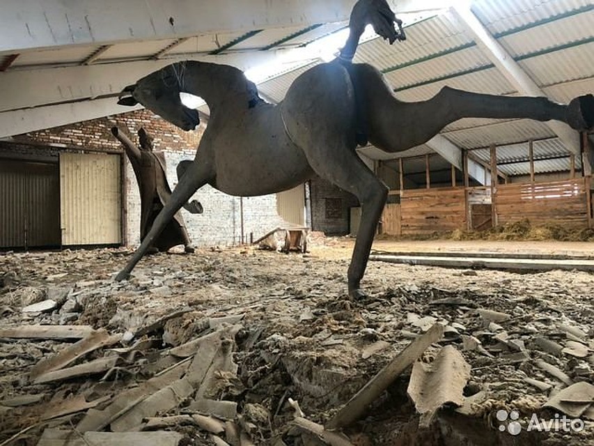 Фото: avito.ru