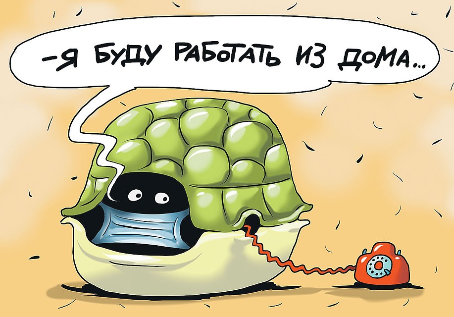 А вы готовы работать и учиться на удаленке? Фото: Екатерина МАРТИНОВИЧ