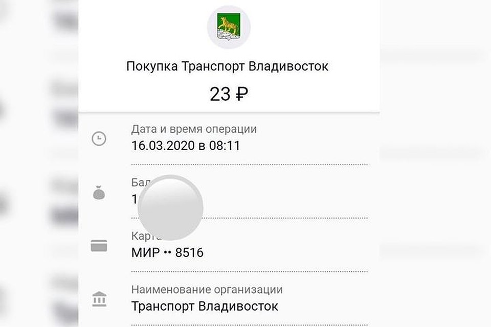 Пассажирка уверяет, что проезд пришлось оплатить трижды. Фото: revizor_vdk