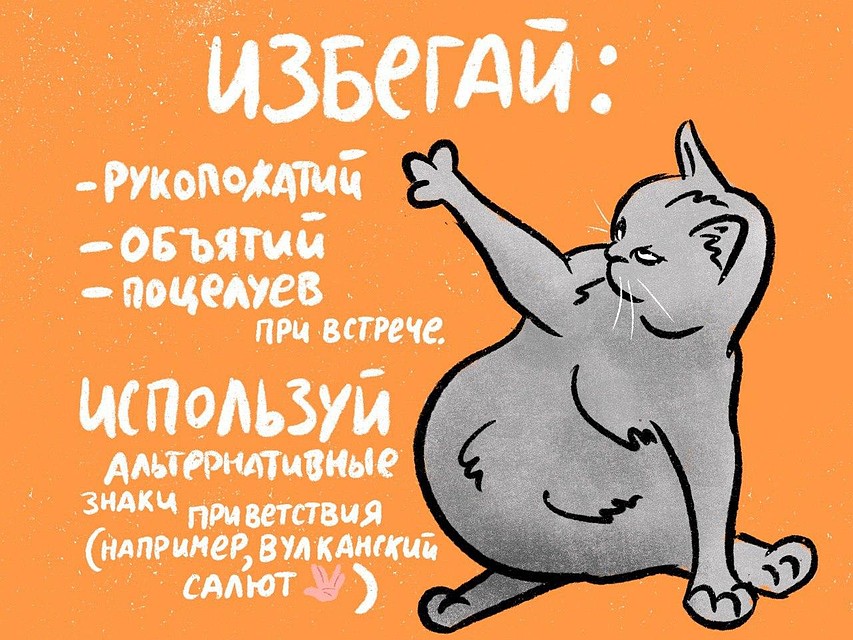 В Петербурге появились коты, которые объяснили, как защититься от инфекции / Фото: ИТМО