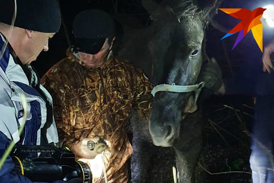 Фото: пресс-служба ГКУ "Краснодарская краевая аварийно-спасательная служба "Кубань-СПАС".