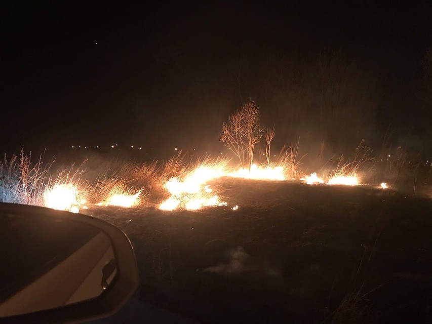 Вид из машины на пылающие поля не самый спокойный. Фото: СОЦСЕТИ