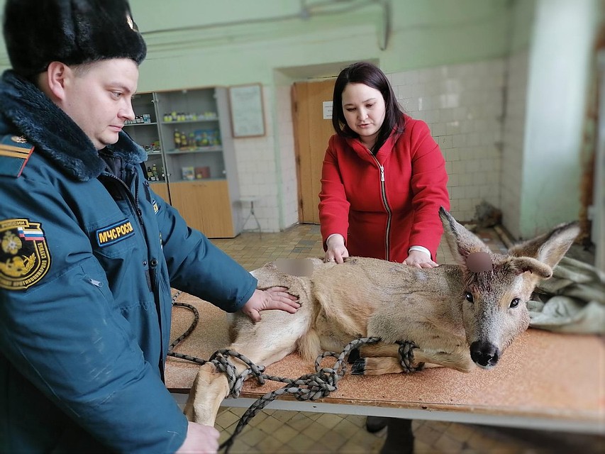 Фото - ГУ МЧС по Тюменской области.