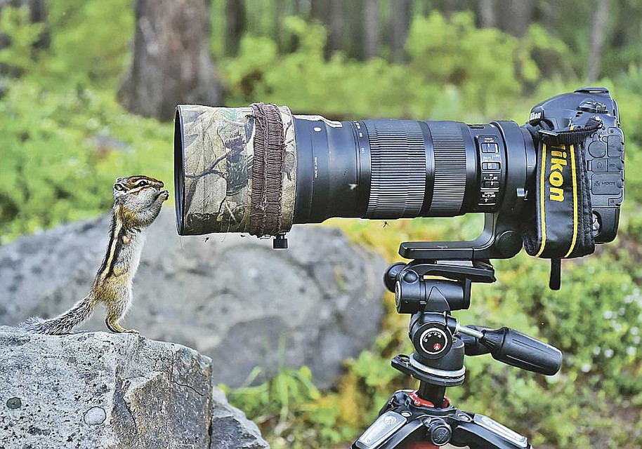 - А отсюда точно вылетит птичка? Фото: Юрий Коковкин.