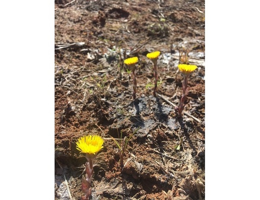 Фото: Мария Хафизова
