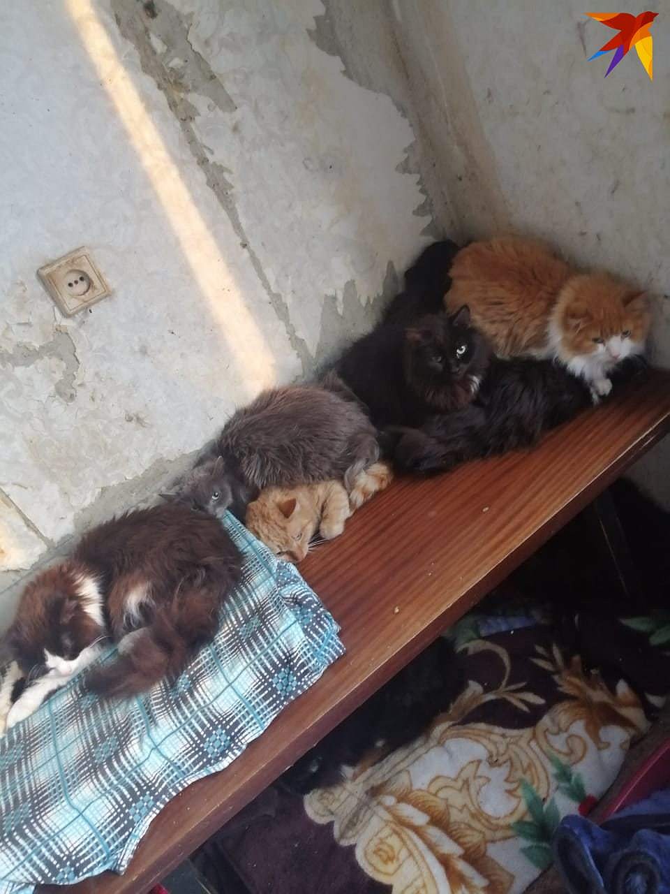 Фото: Надежда Пасечная