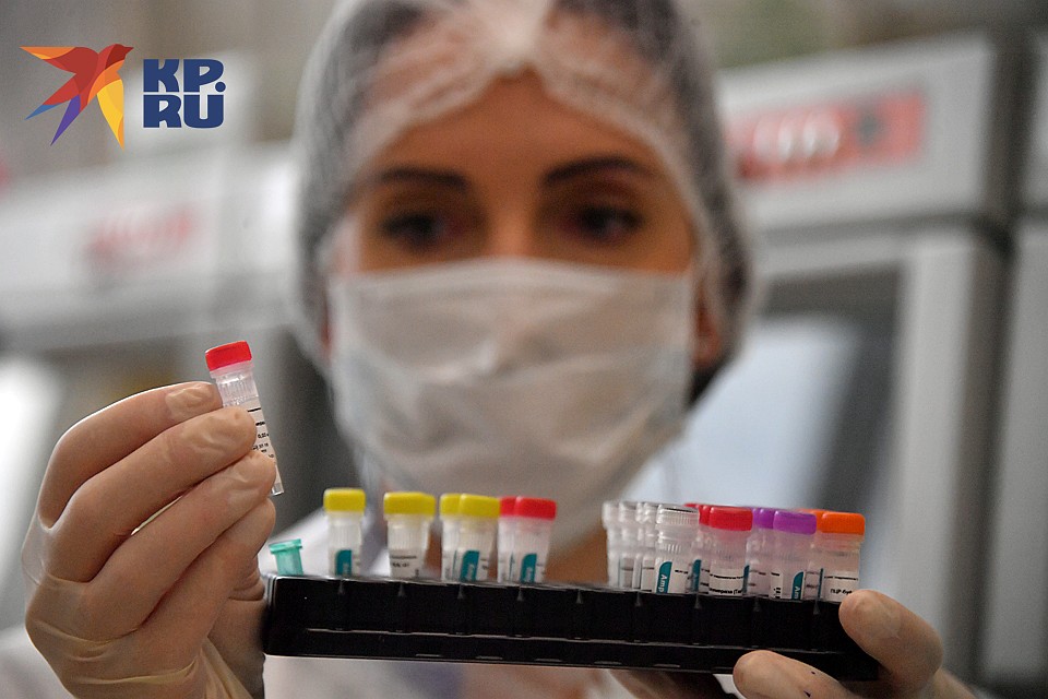 Вирусы на самом деле не дают человечеству вымереть Фото: Владимир ВЕЛЕНГУРИН