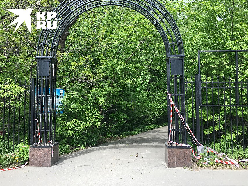 Было закрыто, стало открыто. Кусковский лесопарк Фото: Павел КЛОКОВ