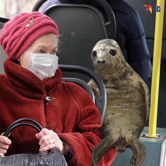 Прокатилась Куземка и в автобусе. Фото: Павел РОМАНОВ