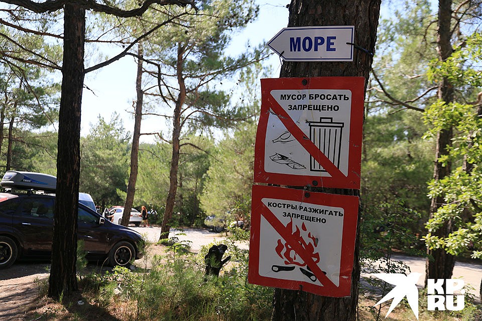 Отдых в кемпинге станет снова популярен Фото: Олег УКЛАДОВ