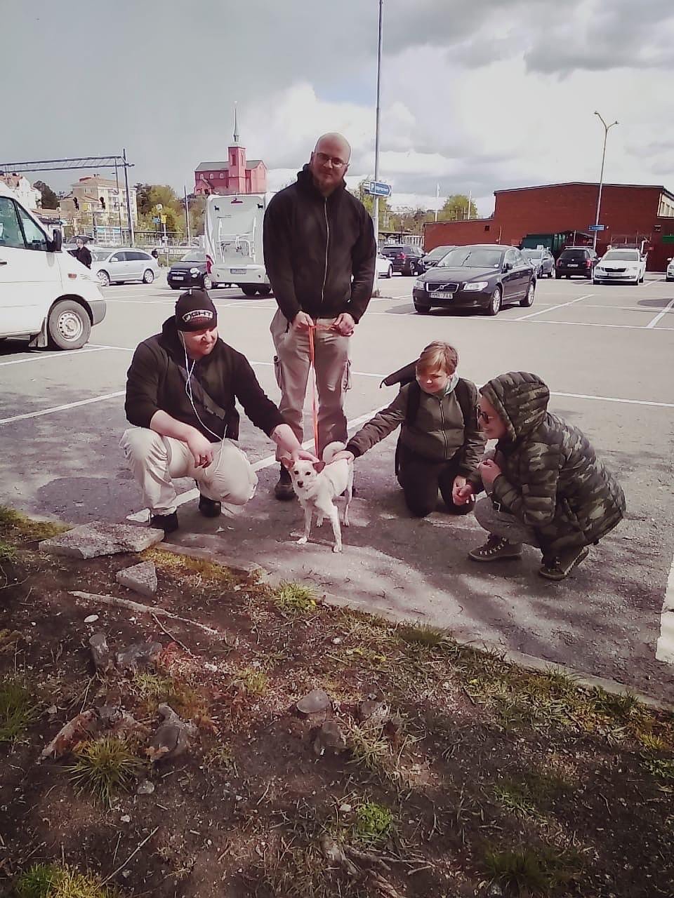 Чтобы эта встреча состоялась. волонтерам пришлось потратить не только много денег, но и нервов. Но оно того стоило! Фото: группа "Помощь Бучу и бездомным животным"